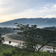 Tree with a river and mountains in the background to represent a nice environment that has reduced co2