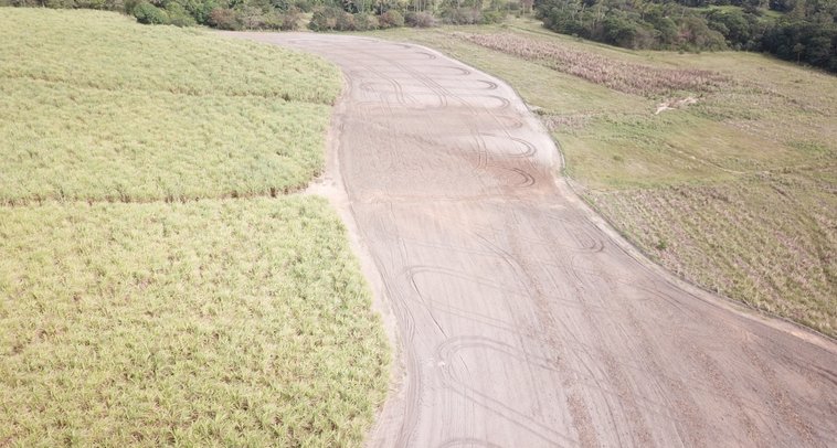 Deforested farmland in Brazil before Treeapp reforestation began, 2023