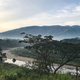 Tree with a river and mountains in the background to represent a nice environment that has reduced CO₂