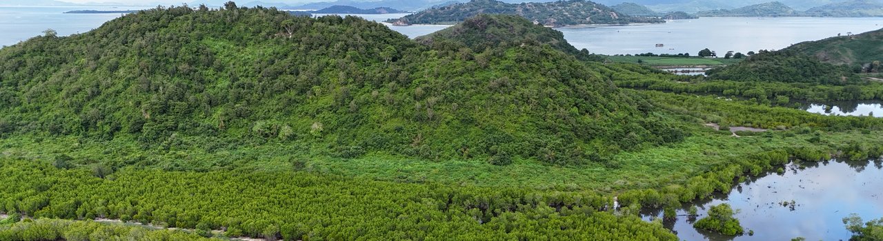 Lush green landscape on Lombok Island, Indonesia, with trees, coastline, and mountains, symbolizing tree planting, climate change action, and wildlife conservation.