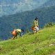 Man and a woman plannting trees on a hill to reforest an environment