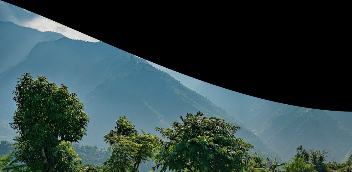 Treeapp Peru tree planting site.