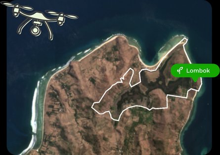 Satellite imagery of Treeapp reforestation site in Lombok Indonesia showing planted areas over time.