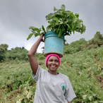 Smiling woman with a new job carrying a bucket with young tree seedlings on her head in a green hillside farm, symbolizing sustainable tree planting and climate action for businesses.