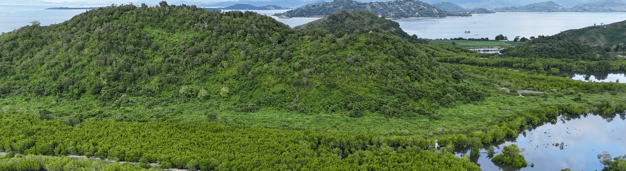 Lush green landscape on Lombok Island, Indonesia, with trees, coastline, and mountains, symbolizing tree planting, climate change action, and wildlife conservation.