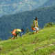 Man and a woman plannting trees on a hill to reforest an environment