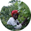 Member of Treeapp’s local planting team in Guinea