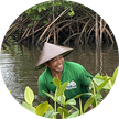 Member of Treeapp’s local planting team in Indonesia