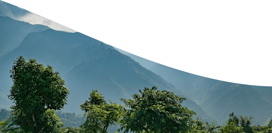 Treeapp Peru tree planting site.