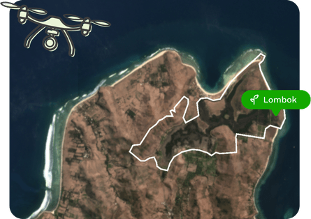 Satellite imagery of Treeapp reforestation site in Lombok Indonesia showing planted areas over time.